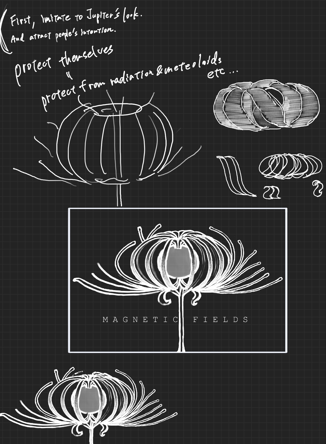 Magnetic Field